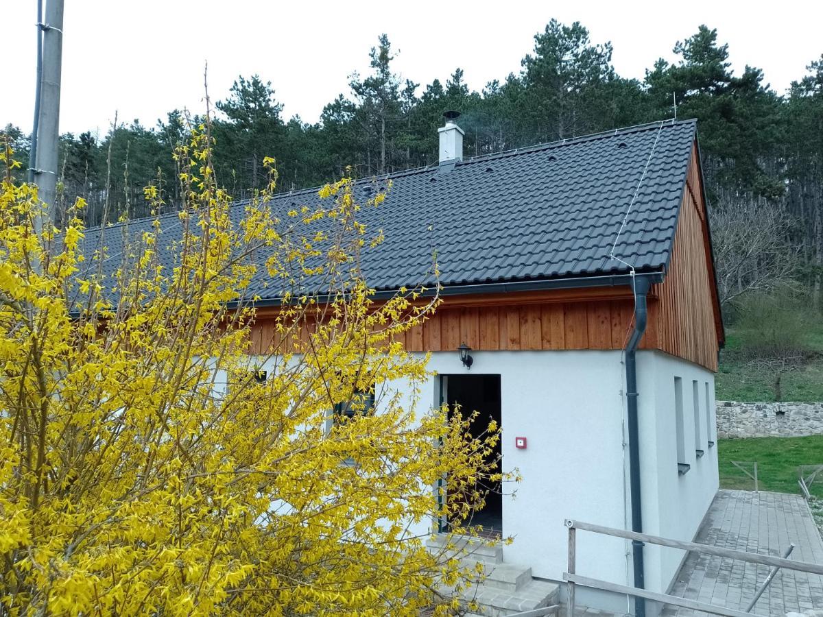 Penzion Litohlavy 17 - Na Samote U Lesa Králŭv Dvŭr Zewnętrze zdjęcie