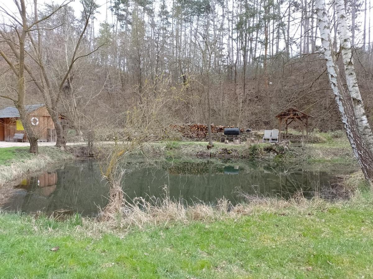 Penzion Litohlavy 17 - Na Samote U Lesa Králŭv Dvŭr Zewnętrze zdjęcie